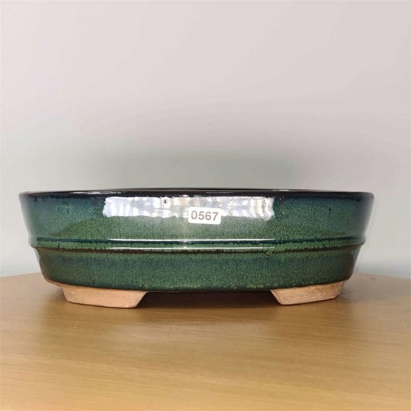 27cm Glazed Bonsai Pot | Oval | 27cm x 20cm x 8cm | Green - Yorkshire Bonsai