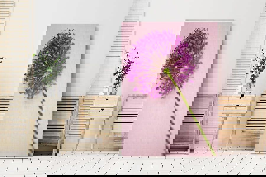 pink allium flower print on canvas