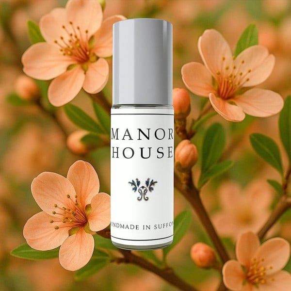 Sienna Glass Oil for Reed Diffuser -150ml - Nectarine Blossom
