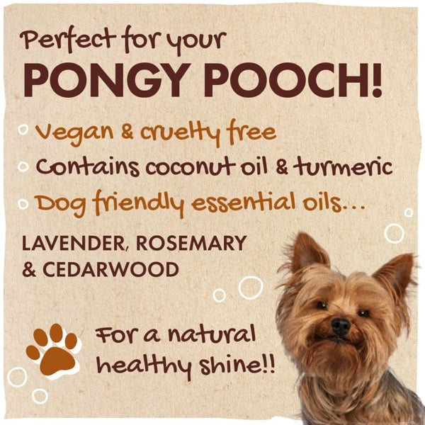 Pongy Pooch!  - Vegan and cruelty free, contains coconut oil and turmeric, dog friendly essential oils, lavender, rosemary and cedarwood. 