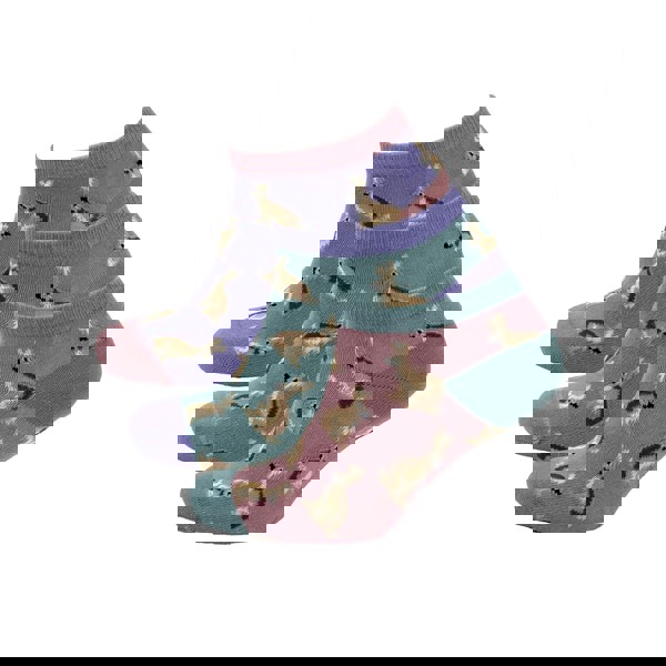 Heritage Traditions Heritage 3 Pack Trainer Socks