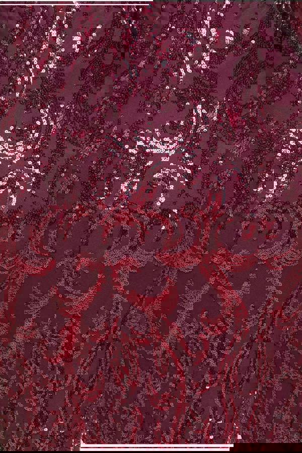 Embroidered Sequin & Mesh Maxi Dress - Burgundy DR2558PLUS