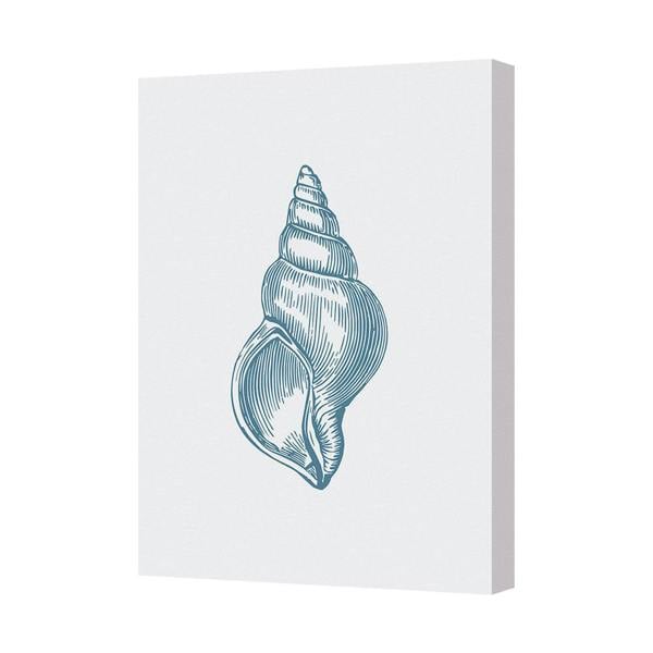 Benjamin Tate Design Blue Conch Seashell Canvas Wall Art Print For Coastal Beach Home Decor