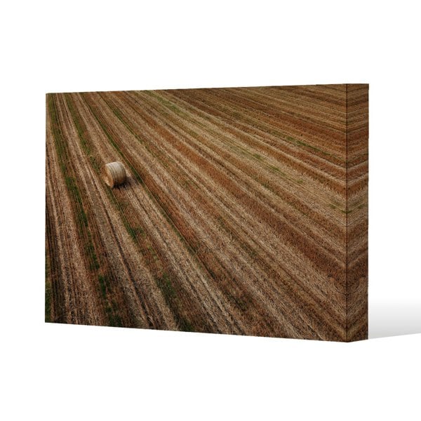 Benjamin Tate Design Aerial view of hay bale fields (Canvas Print)