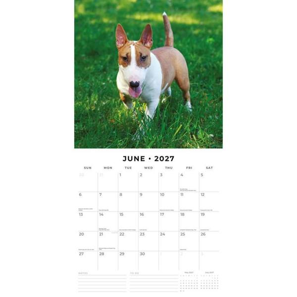 Bull Terriers Calendar 2027, Wall Calendars, Month To View, Dogs, Gift