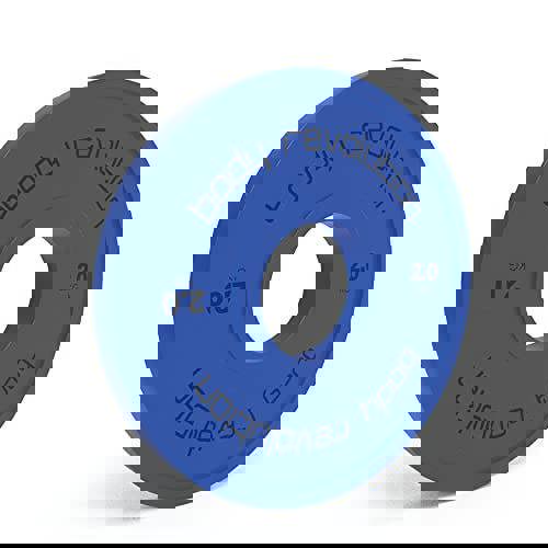 Blue 2.0 kg fractional bumper plate with a smooth texture and a central hole, ideal for weightlifting and strength training