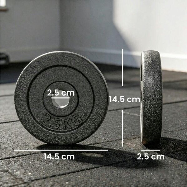 Weight Plates Set, 1"/2.5cm Weight Disc Pair, 4 x 2.5kg Metal Dumbbell/Barbell Plates for Home Gym
