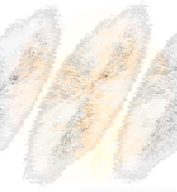  Arctic Sunrise/Ivory