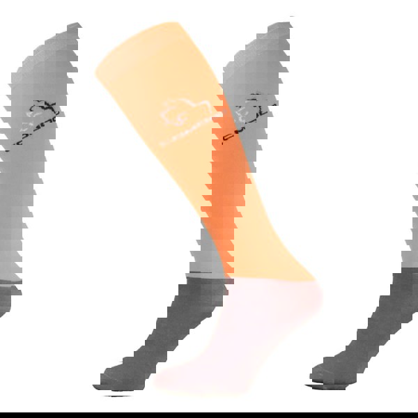 t4option1_7