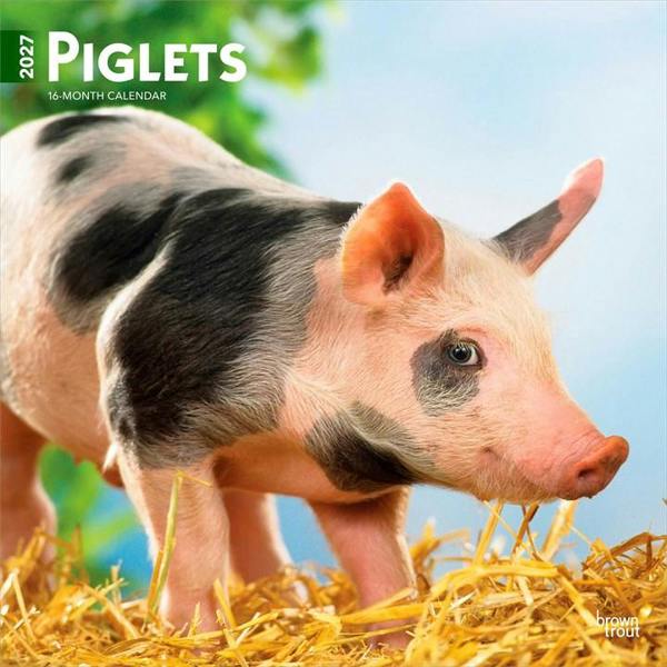 Piglets Calendar 2027, Wall Calendars, Month To View, Animals, Gift