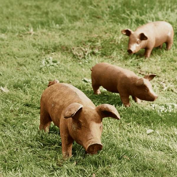 Three rusty metal pig sculptures in varying sizes standing on a lush green lawn, showing their natural weathered oxidised finish.