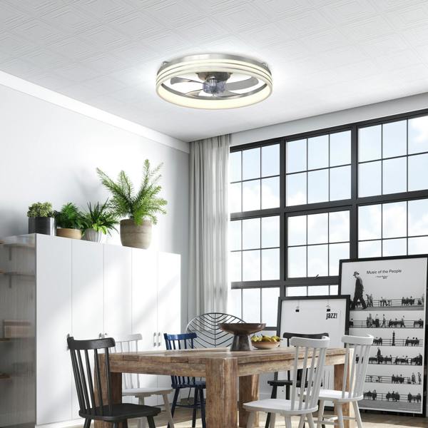 Ceiling Fan With Light