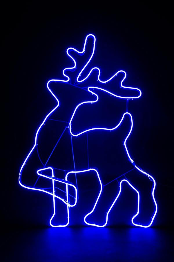 Walking Reindeer Neon Effect Rope Light Silhouette Blue LEDs Outdoor Christmas Display image 6