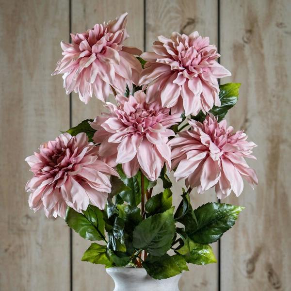 The Natural Garden Collection Pink Dahlia