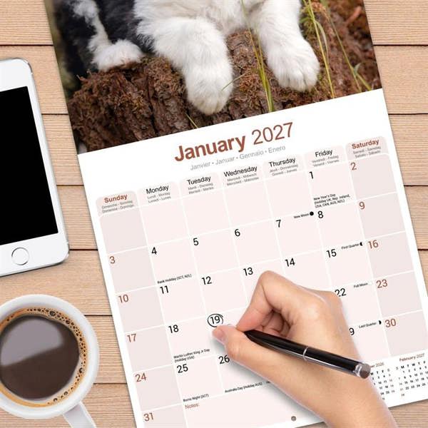 Old English Sheepdog Calendar 2027, Wall Calendars, Month To View, Dogs, Gift