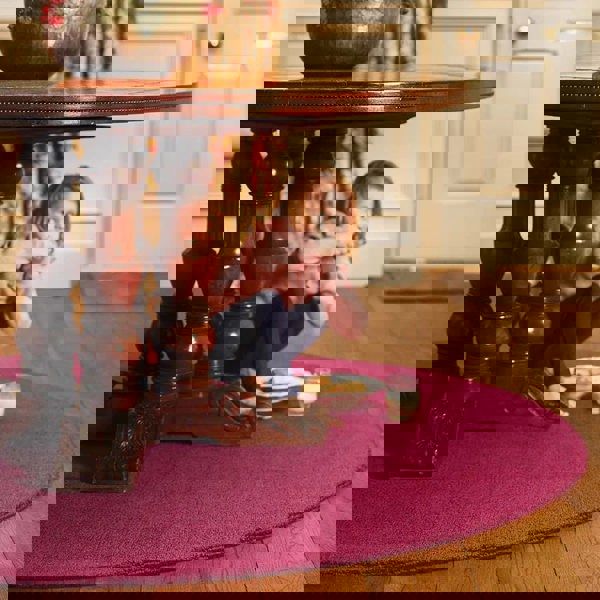 Origins Reef Raspberry