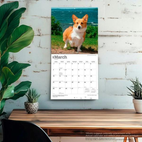 Pembroke Welsh Corgis Calendar 2027, Wall Calendars, Month To View, Dogs, Gift