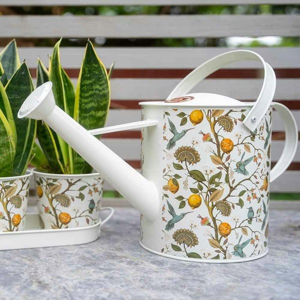 The British Gardening Company 5L Hummingbird Design Metal Watering Can