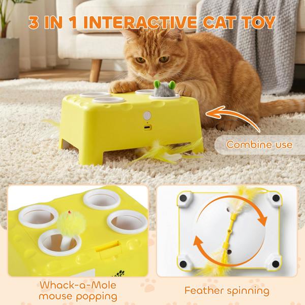 Cat Toys