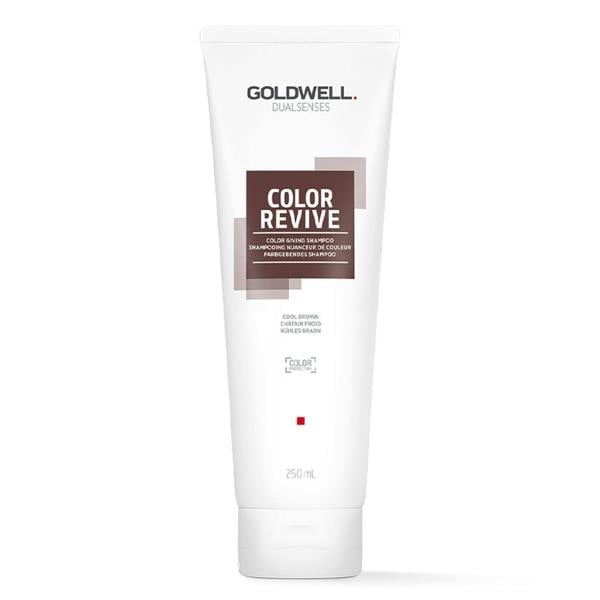Goldwell Dualsenses Color Revive Shampoo 250 ml
