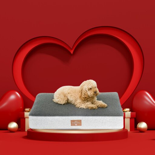 Snug and Cosy Pets Heritage Tweed Orthopaedic Pet Lounger - Comfort & Support