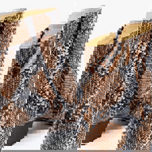 1649078090-36853900.png