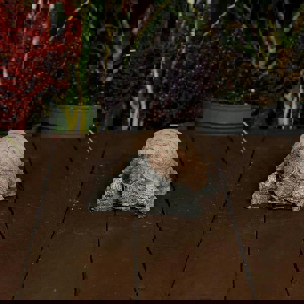 Small Stone Cast Tortoise Garden Ornament 