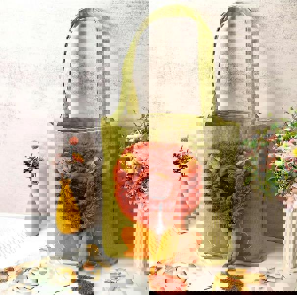 Anywags Anypet Cat Handbag 40cm Light Gray 3D Lion Soft Collar Pets Carrier Luggage Small Dog Travel Tote Bag With Pet Canvas