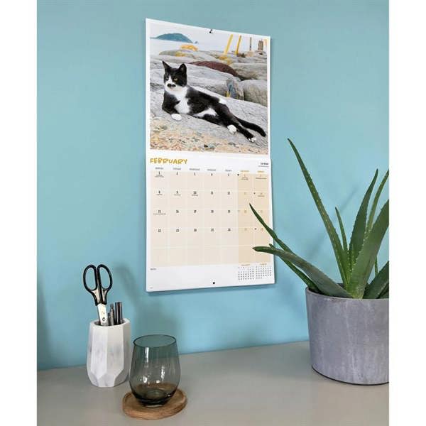 Comedy Pet Photography Awards Calendar 2027, Wall Calendars, Month To View, Humour, Gift