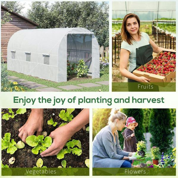 White walk-in polytunnel greenhouse with arched PE cover and front opening in garden
