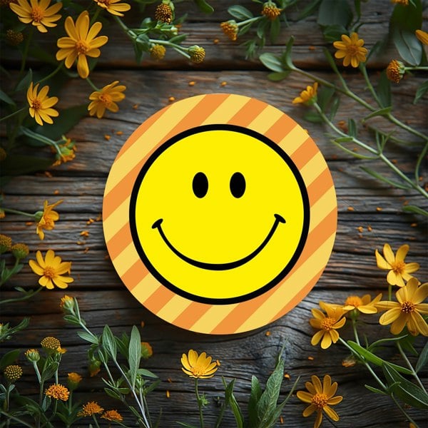 Love Frankie Helter Skelter Smiley Face Coasters - Marmalade