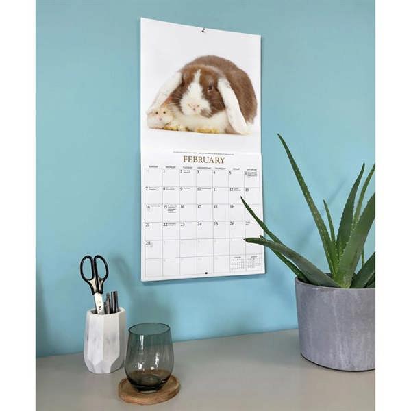 Unbranded Bunnies & Friends Calendar 2027, Wall Calendars, Month To View, Animals, Gift