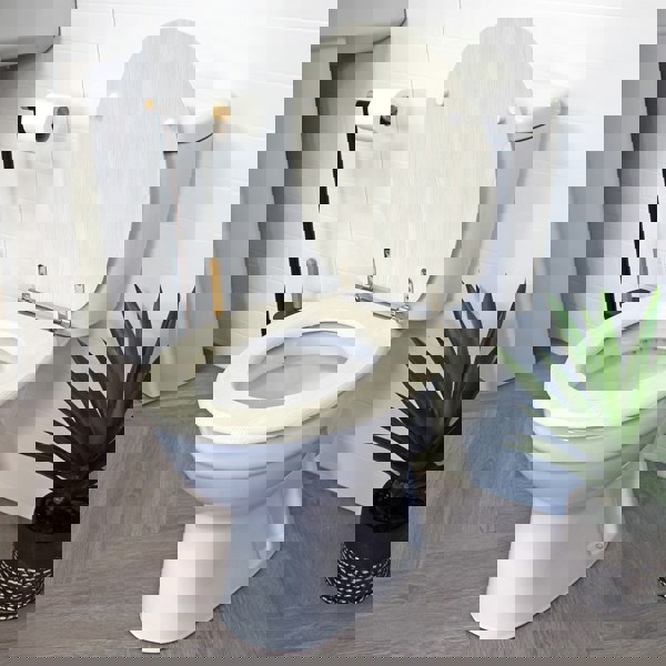 Showerdrape Oxford White Oak Wooden Toilet Seat