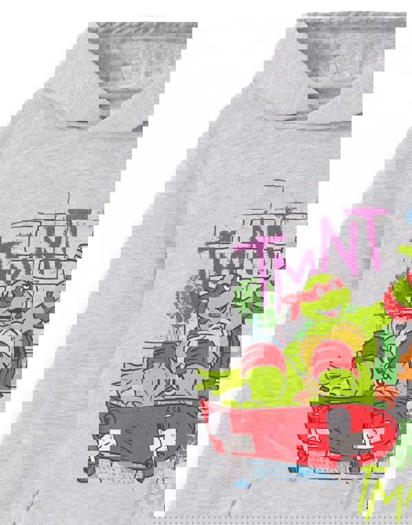 Teenage Mutant Ninja Turtles Boys Grey Shell Skater Hoodie