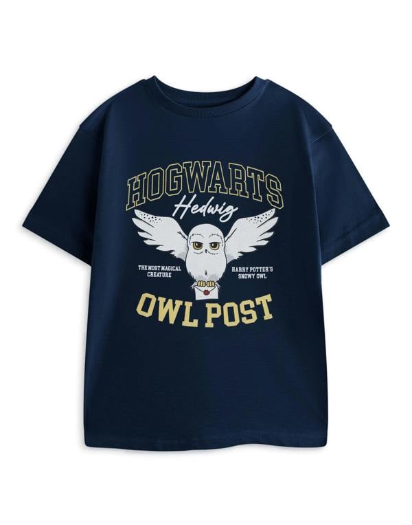 Vanilla Underground Harry Potter Girls Blue Owl Post Short Sleeved T-Shirt