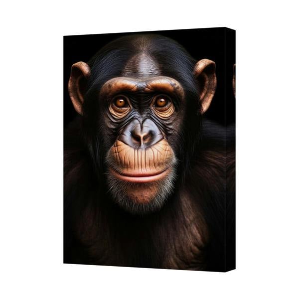 Benjamin Tate Design Chimpanzee Close Up Canvas Wall Art Portrait Gallery Quality