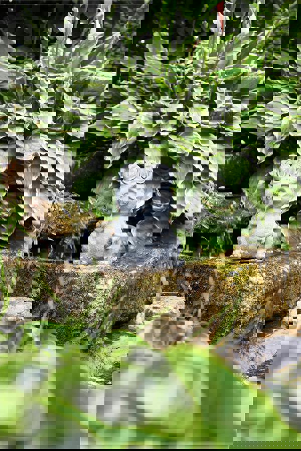 Luxform Solar Stone Frog Led Light