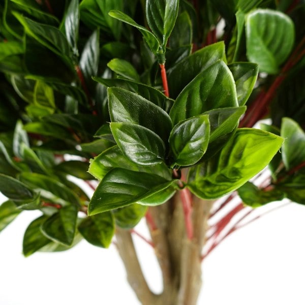 Leaf 90cm Pair of UV Resistant Gloxinia Single Ball Topiary with 1608 Leaves and Natural Trunk