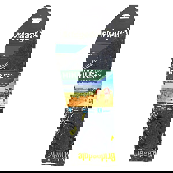 t4option1_0