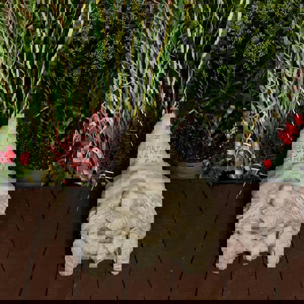 'I Identify as a Fairy' Stone Cast Gnome Statue