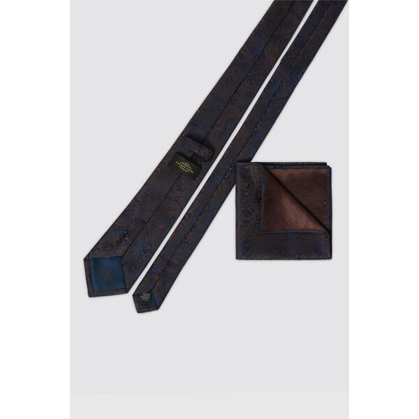 Antique Rogue Navy Paisley Tie