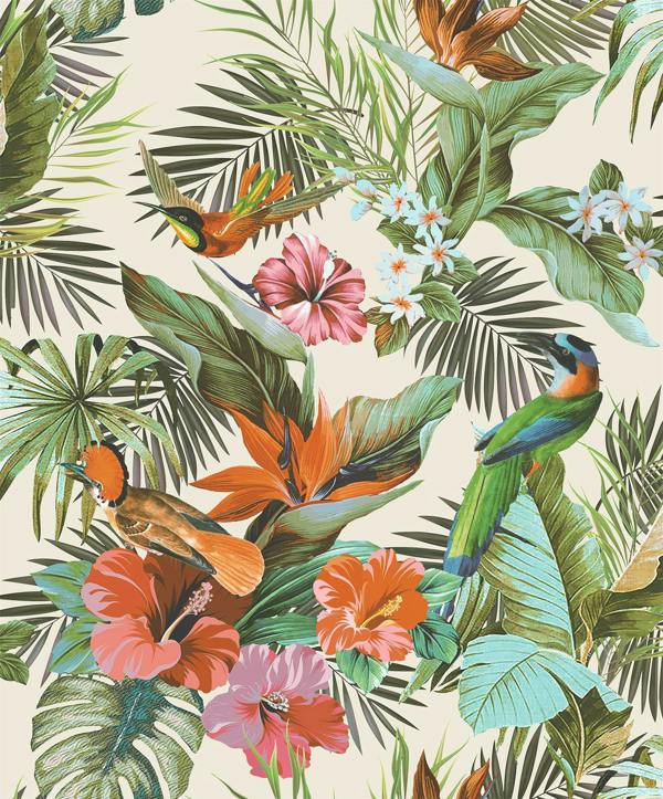 Paradise Birds Multi Wallpaper 539066 - Rs
