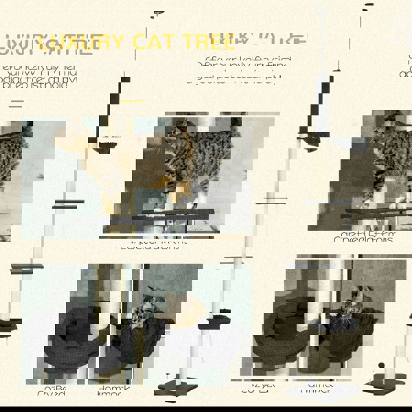 D30-617V00BK