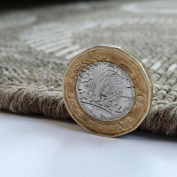 Kitchen Rugs Brown Taupe Champagne Design New Yourk London Paris Carpet Flat Woven Mat