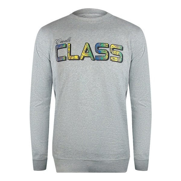 Cavalli Class Vibrant Floral Logo Grey Sweatshirt