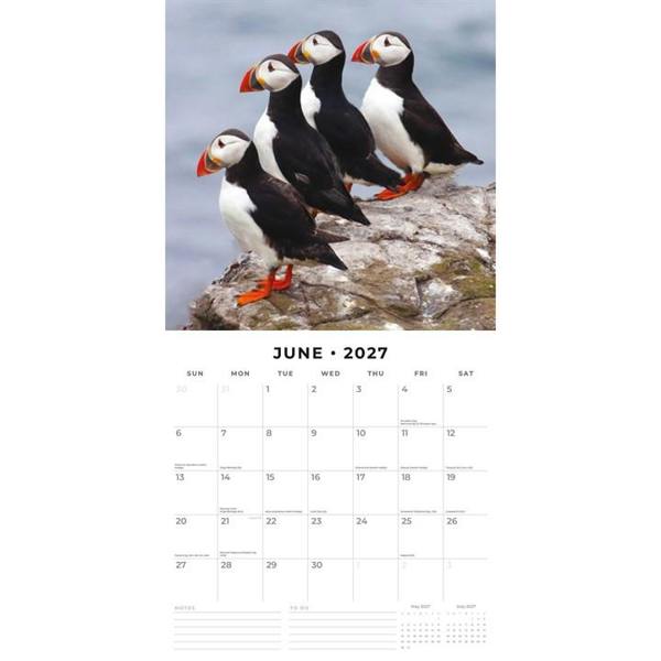 Puffins Calendar 2027, Wall Calendars, Month To View, Animals, Gift