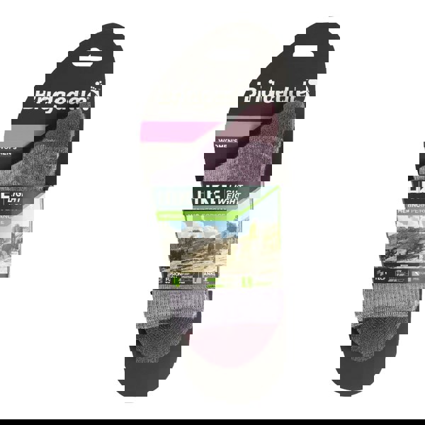 t4option1_1