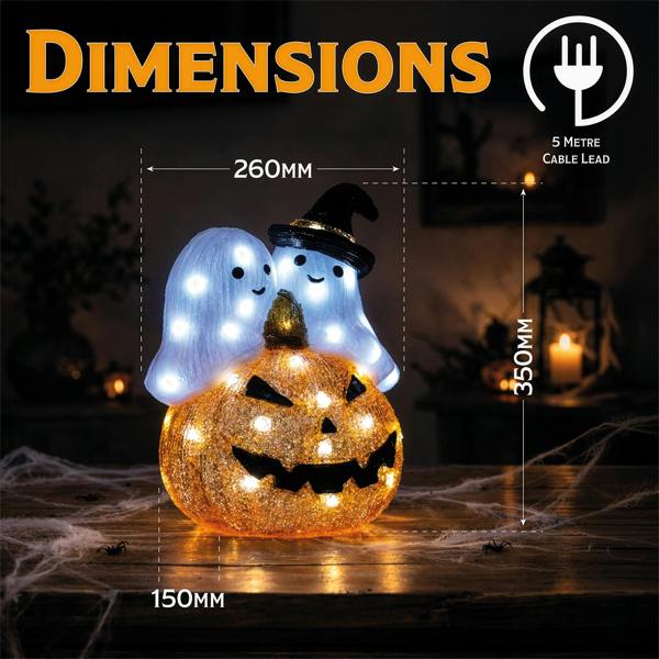 Fxlab White LED Pumpkin and Ghost Outdoor Halloween Decoration with with 5m Lead Cable BS IP20 Transformer Timer 6 18H