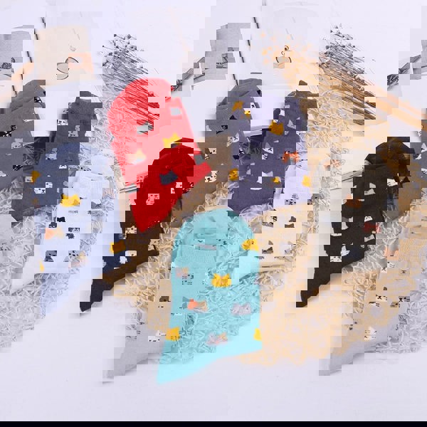 Anyfootwear 5 Pairs One Size 5-9 Mix Colour Cartoon Animal Cute Cat Ankle Short Casual Girl With Thick Warm Cotton Socks for Holiday Gifts