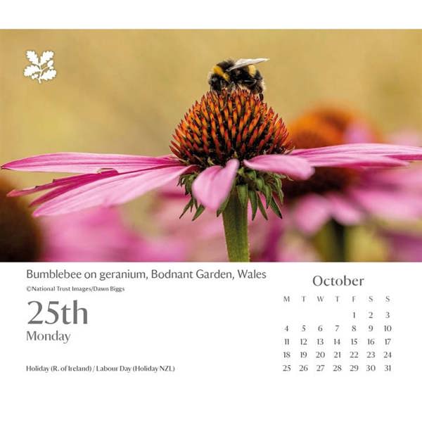 National Trust, Escape with the National Trust Desk Calendar 2027, Desk Calendars, Day To View, Travel, Gift